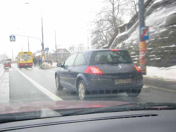 w1_zybex.jpg