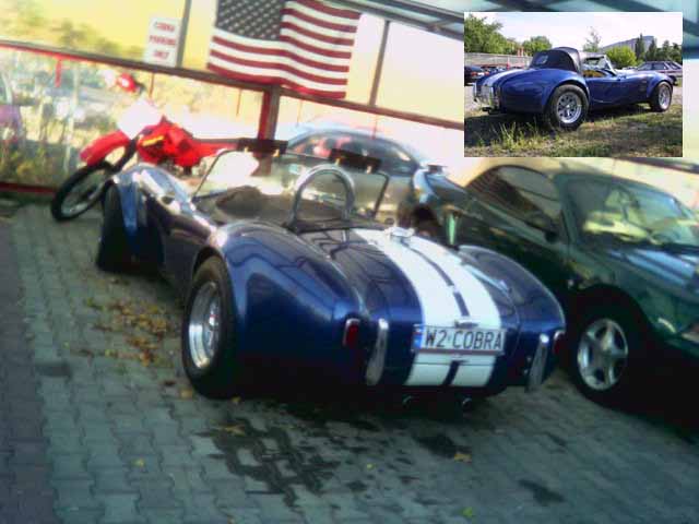 w2_cobra.jpg