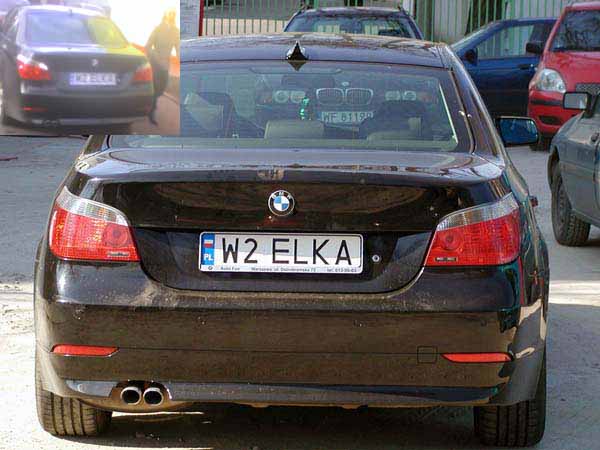 w2_elka.jpg