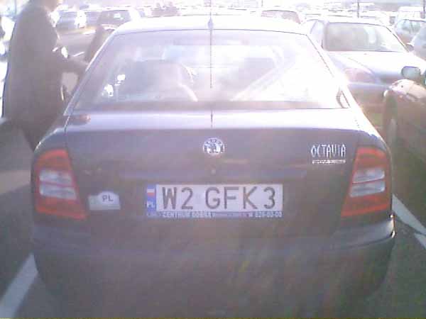 w2_gfk3.jpg