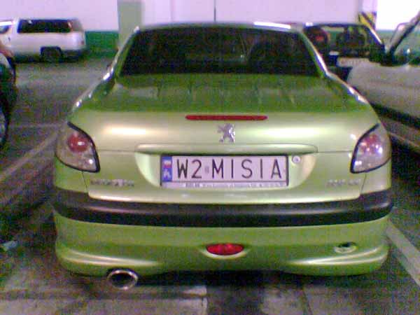 w2_misia.jpg