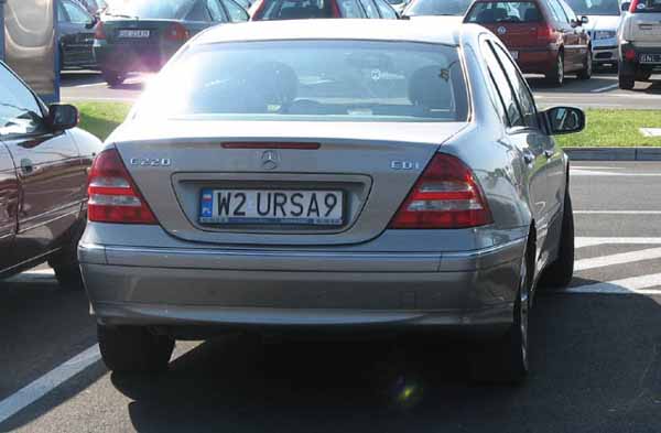 w2_ursa9.jpg