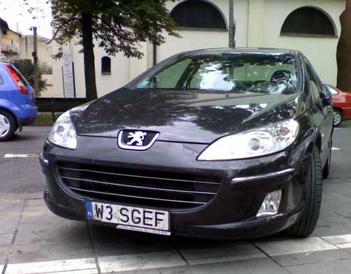 w3_sgef.jpg