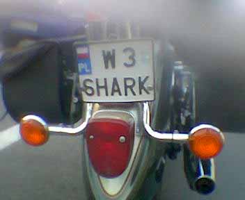 w3_shark.jpg