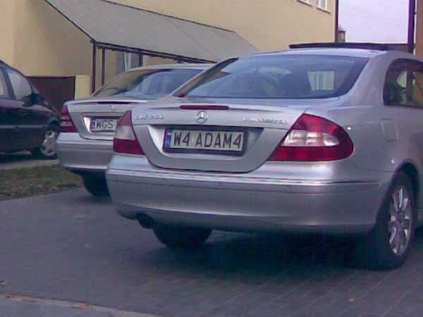 w4_adam4.jpg