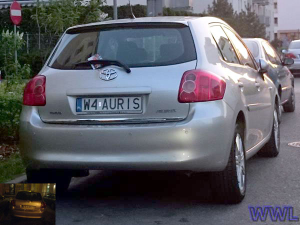 w4_auris.jpg