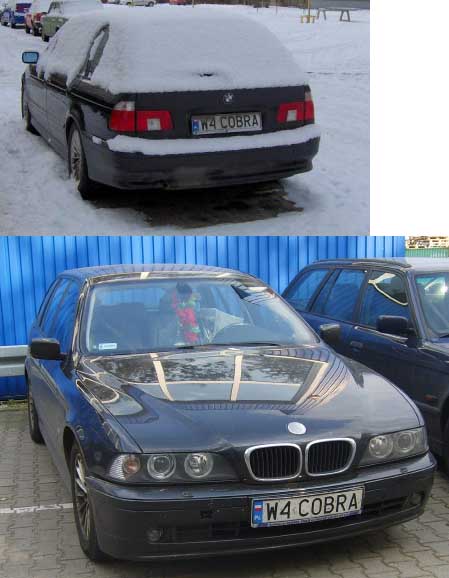 w4_cobra.jpg