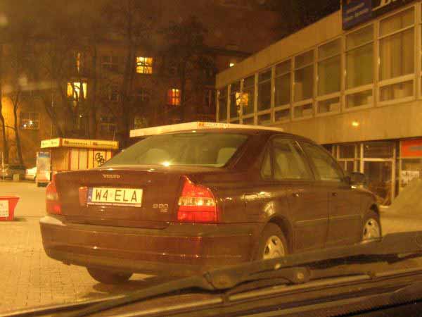 w4_ela.jpg