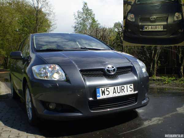 w5_auris.jpg