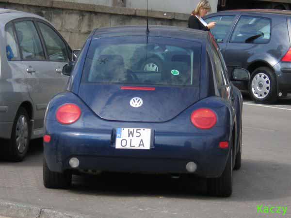 w5_ola.jpg