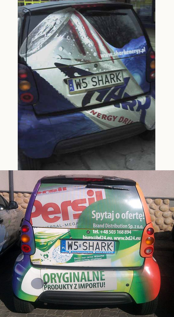 w5_shark.jpg