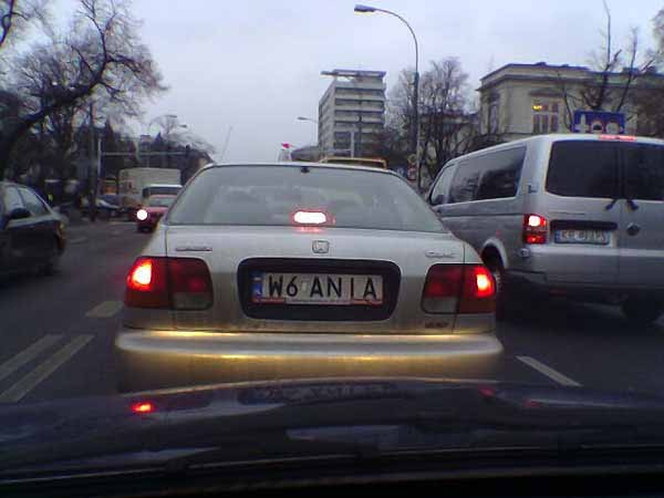 w6_ania.jpg