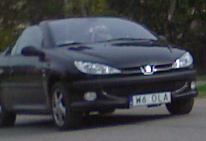w6_ola.jpg