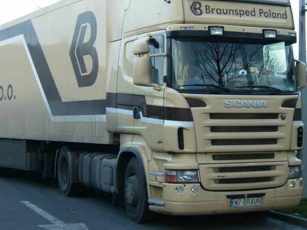 w7_braun.jpg