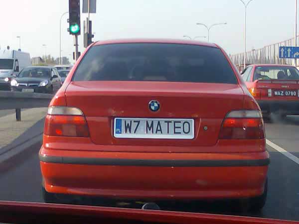 w7_mateo.jpg