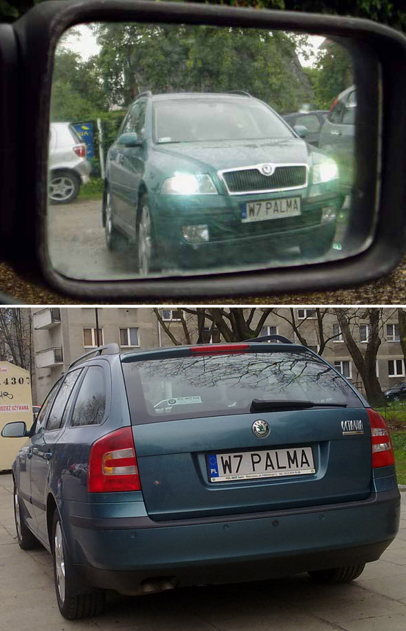 w7_palma.jpg