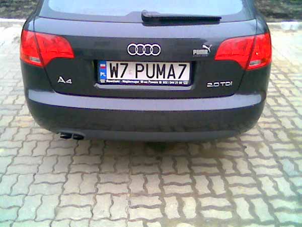 w7_puma7.jpg