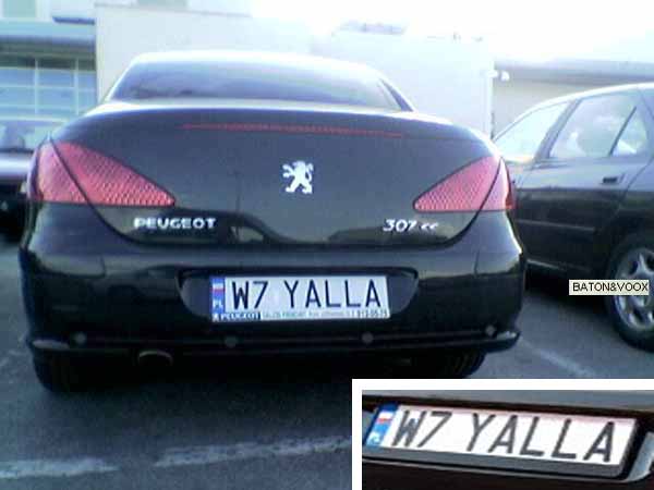 w7_yalla.jpg