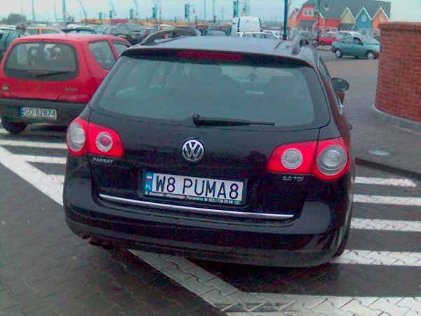 w8_puma8.jpg