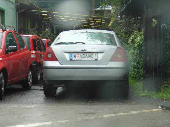 w_adamo1.jpg