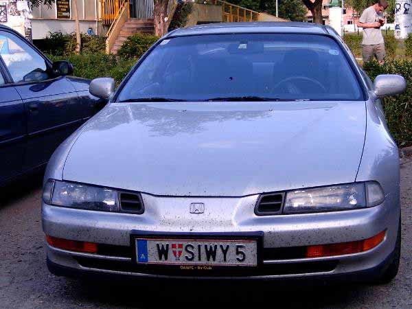 w_siwy5.jpg