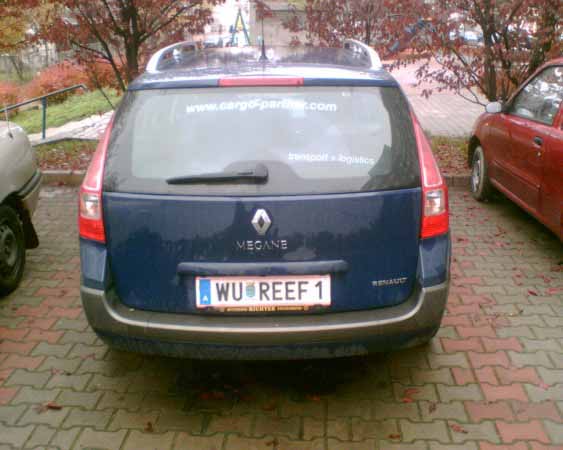 wu_reef1.jpg