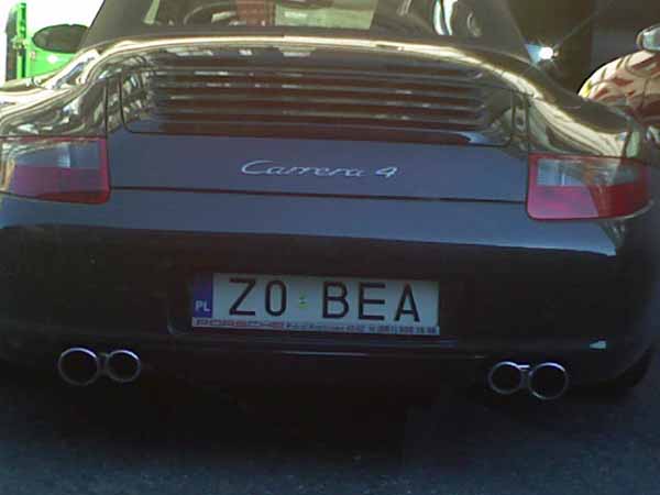 z0_bea.jpg