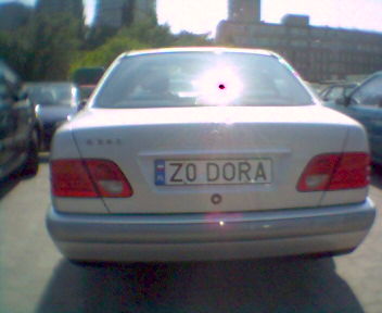 z0_dora.jpg