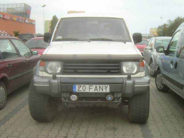 z0_fany.jpg