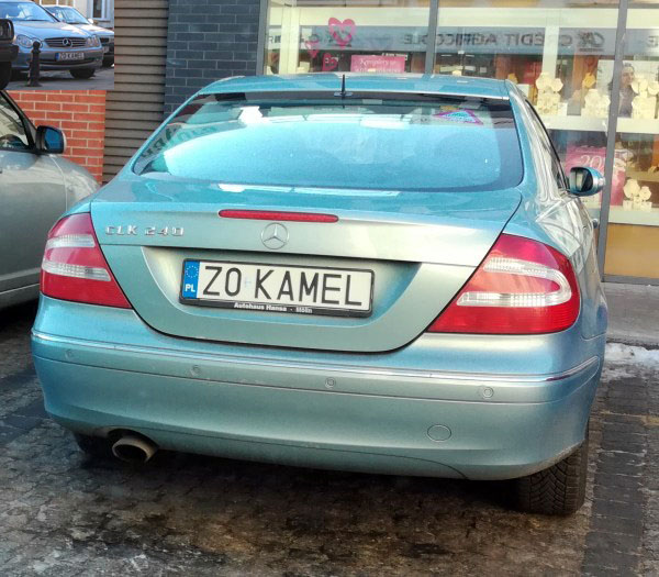 z0_kamel.jpg