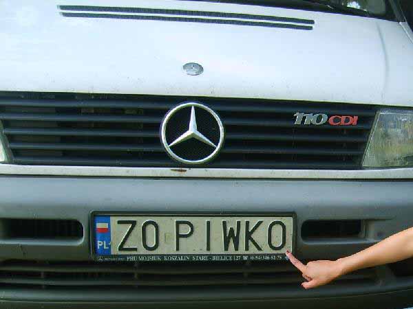 z0_piwko.jpg