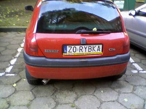 z0_rybka.jpg