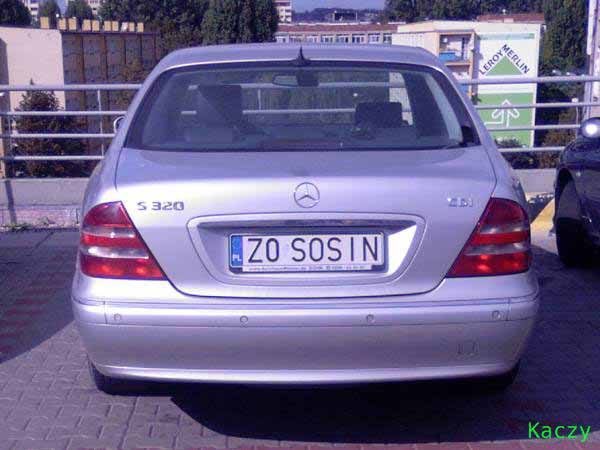 z0_sosin.jpg