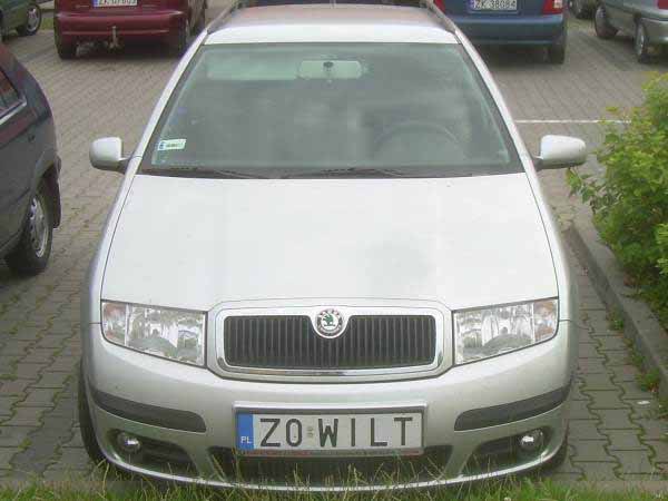 z0_wilt.jpg