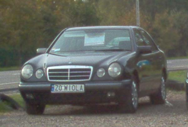 z0_wiola.jpg