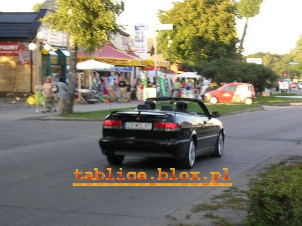z0_wolny.jpg