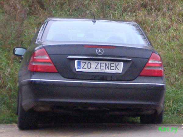 z0_zenek.jpg