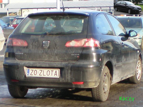 z0_zlota.jpg