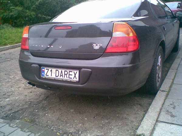 z1_darex.jpg