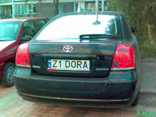 z1_dora.jpg