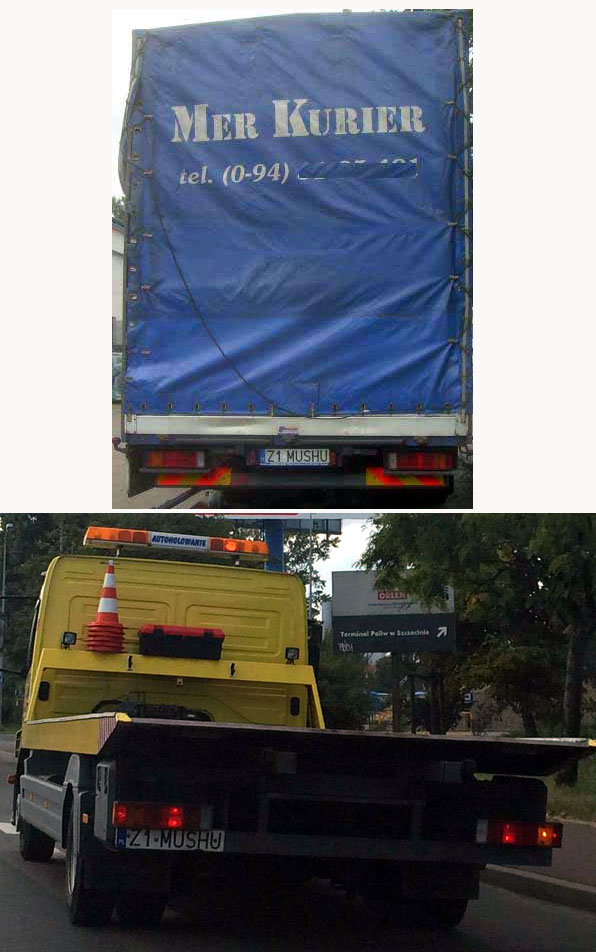 z1_mushu.jpg