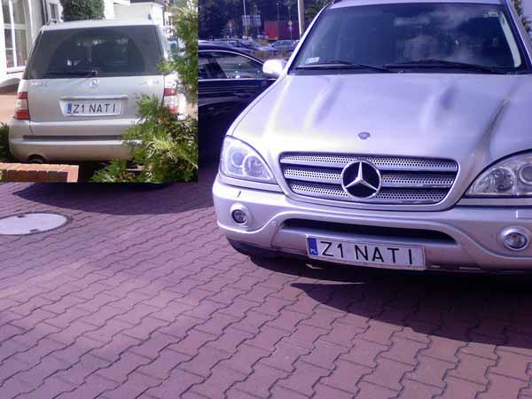 z1_nati.jpg