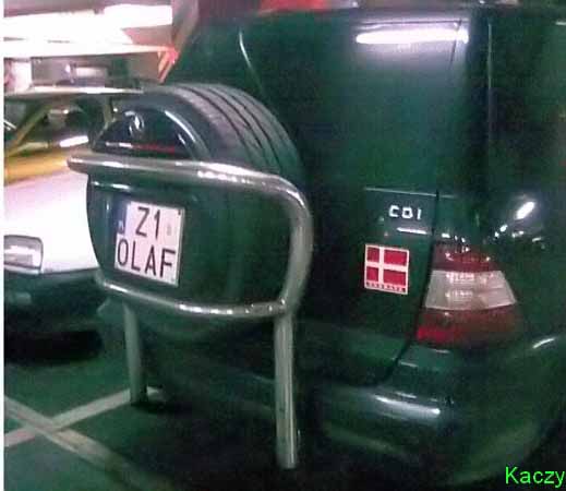 z1_olaf.jpg