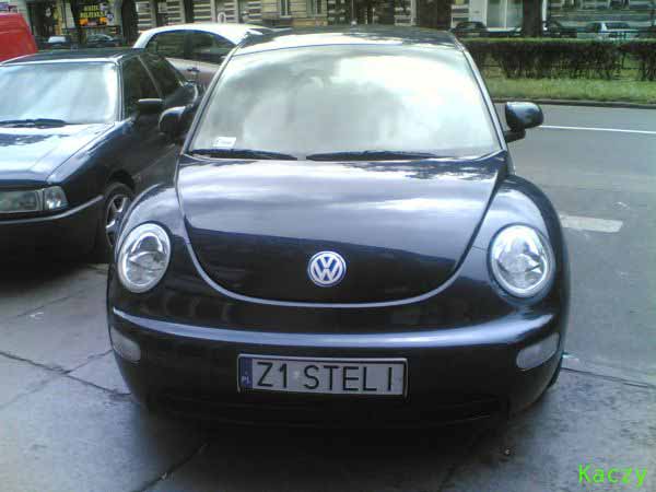 z1_steli.jpg