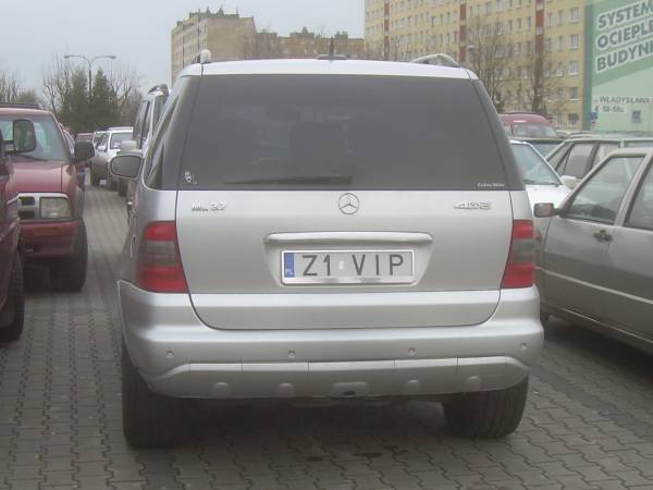z1_vip.jpg
