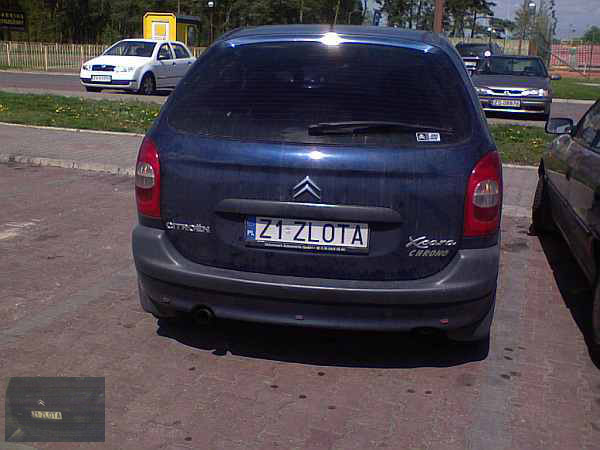 z1_zlota.jpg