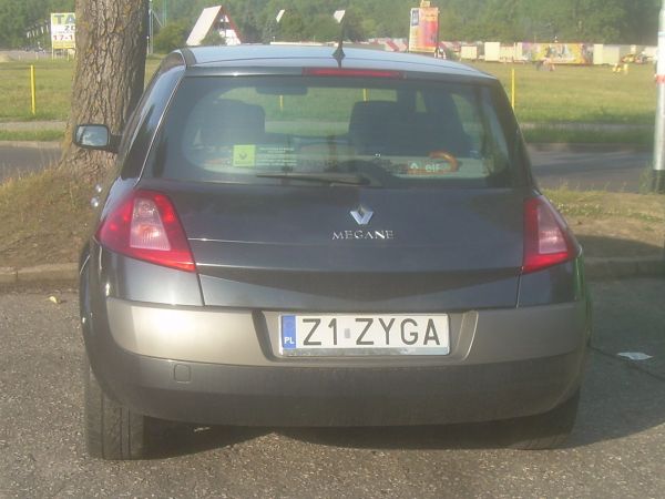 z1_zyga.jpg