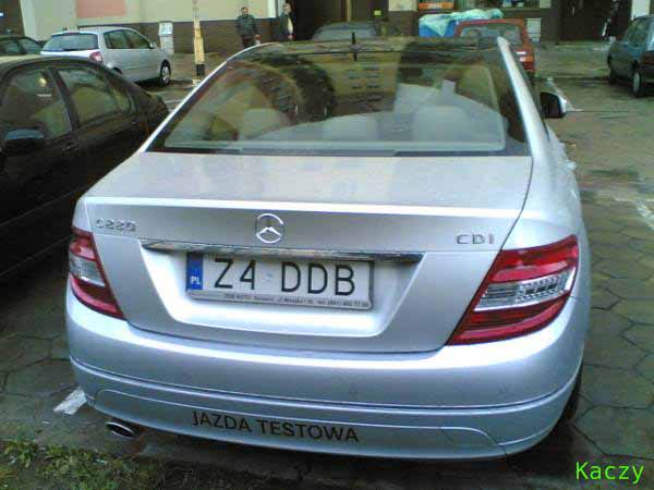 z4_ddb.jpg
