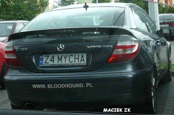 z4_mycha.jpg