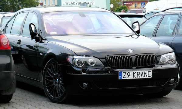 z9_krane.jpg